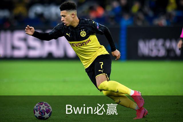 Bwin必赢 公司简介